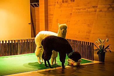 《夏洛克·福尔摩斯：第一章》1.4更新 免费疫医DLC上线